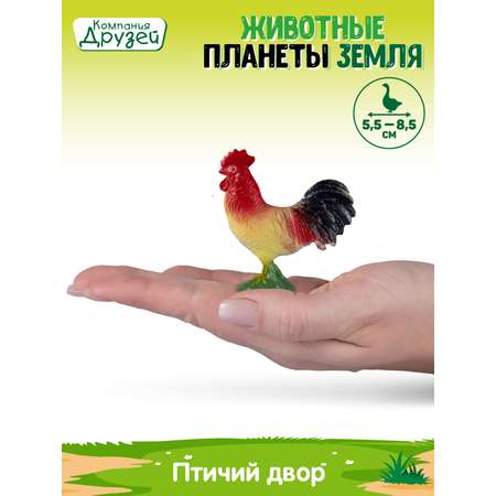 Игровой набор DARWIN Животные Птичий двор 5шт