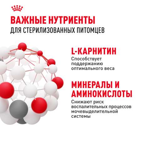 Корм ROYAL CANIN Sterilised 37 сухой 0.2кг для стерилизованных кошек