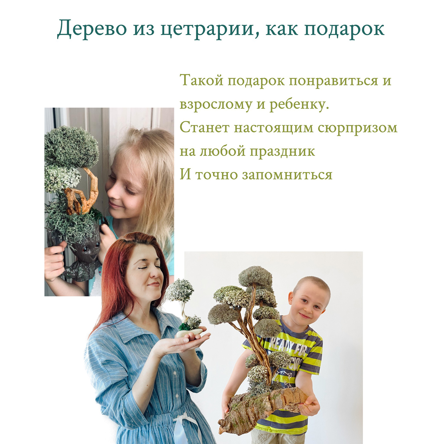 Дерево из Цетрарии Cetraria 17 см - фото 9