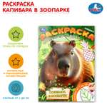 Раскраска УМка Капибара в зоопарке