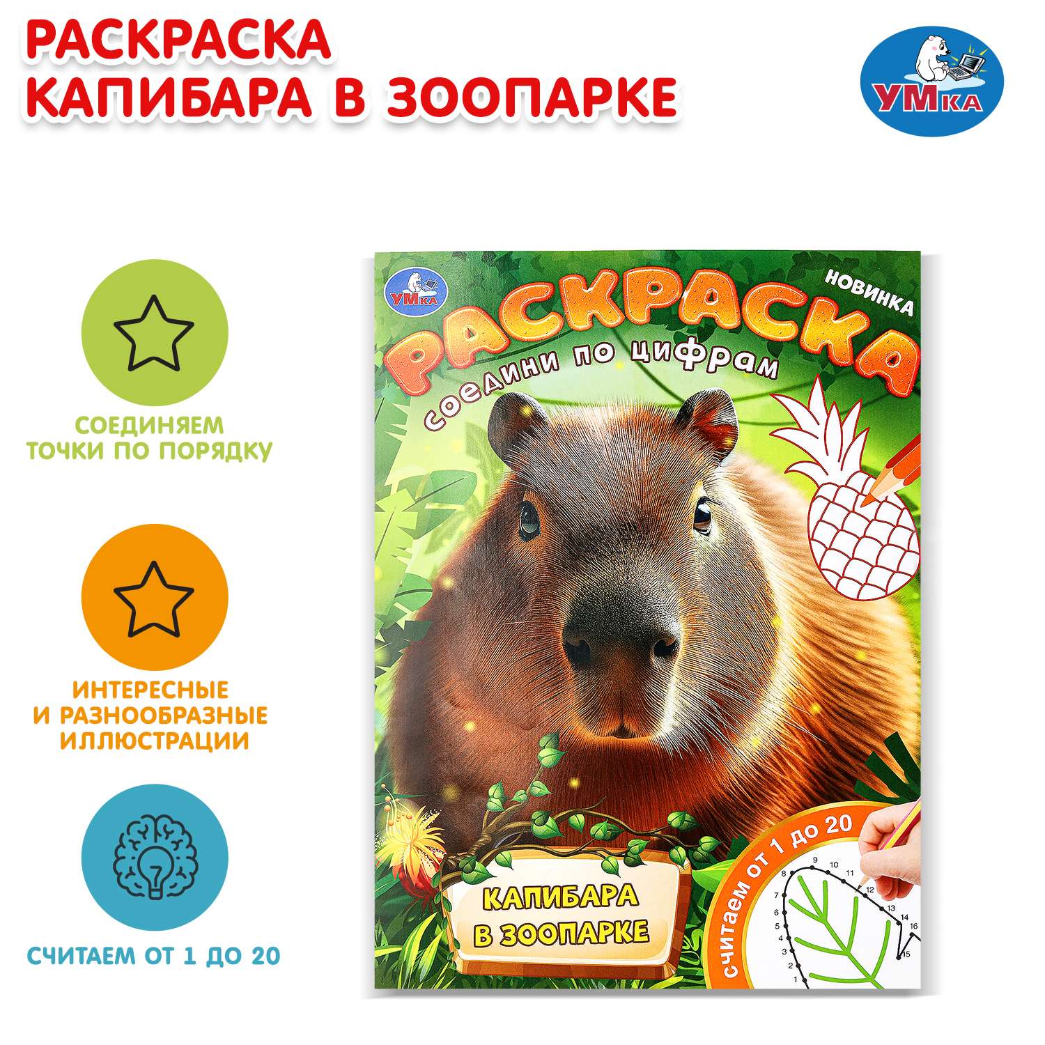 Раскраска УМка Капибара в зоопарке - фото 1