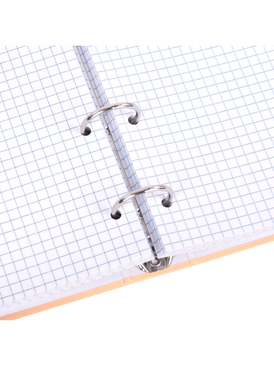 Тетрадь со сменным блоком Brauberg клетка 120 лист. - фото 10