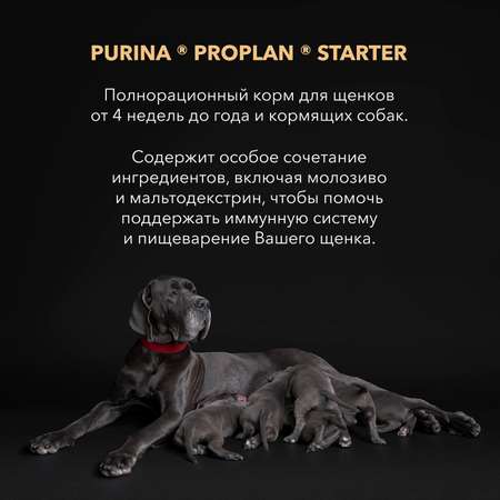 Корм для щенков PRO PLAN Starter крупных пород курица 3кг