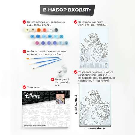Картина по номерам Disney