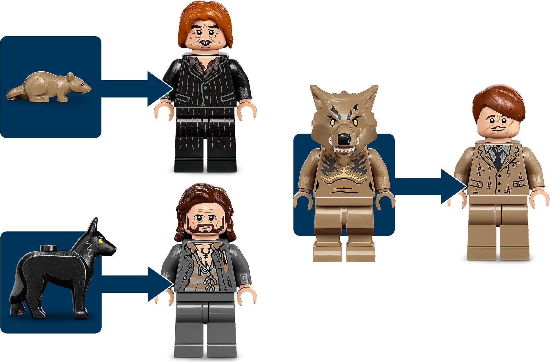 Конструктор LEGO Harry Potter 76407 650 дет. - фото 7