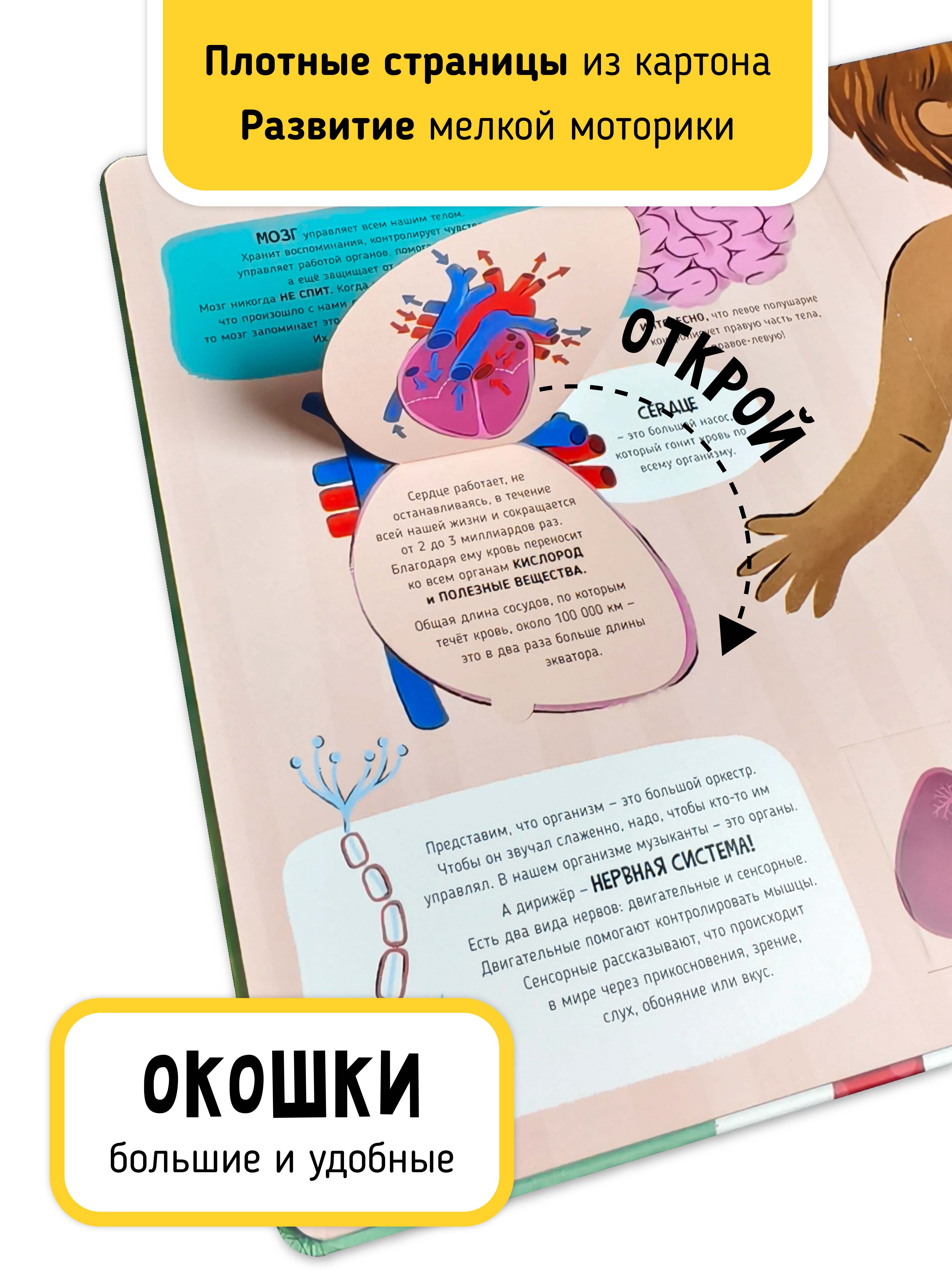 Книга с окошками и pop up Счастье внутри из научной серии Дискавери с интерактивными страницами Как это работает - фото 4