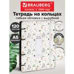 Тетрадь со сменным блоком Brauberg клетка 120 лист.