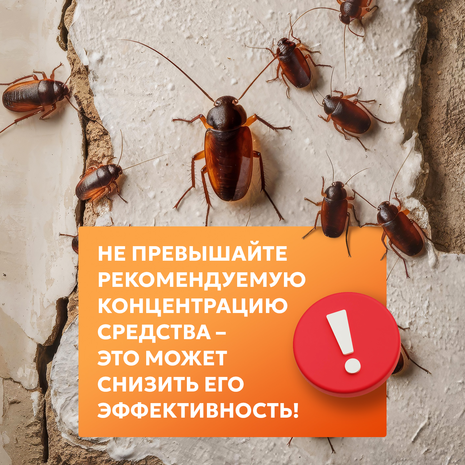 Агран ВЕРМИДЕКС отрава от клопов, блох и тараканов, 50 мл - фото 4