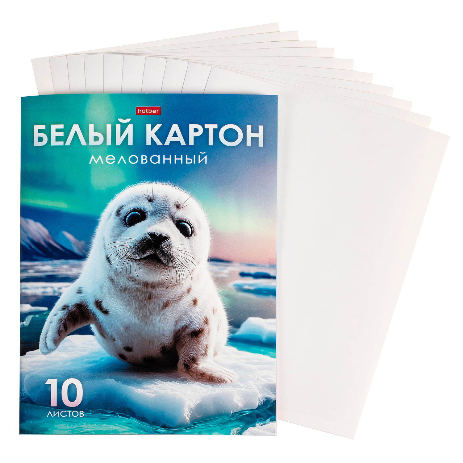 Белый картон Hatber 10 лист. - фото 3