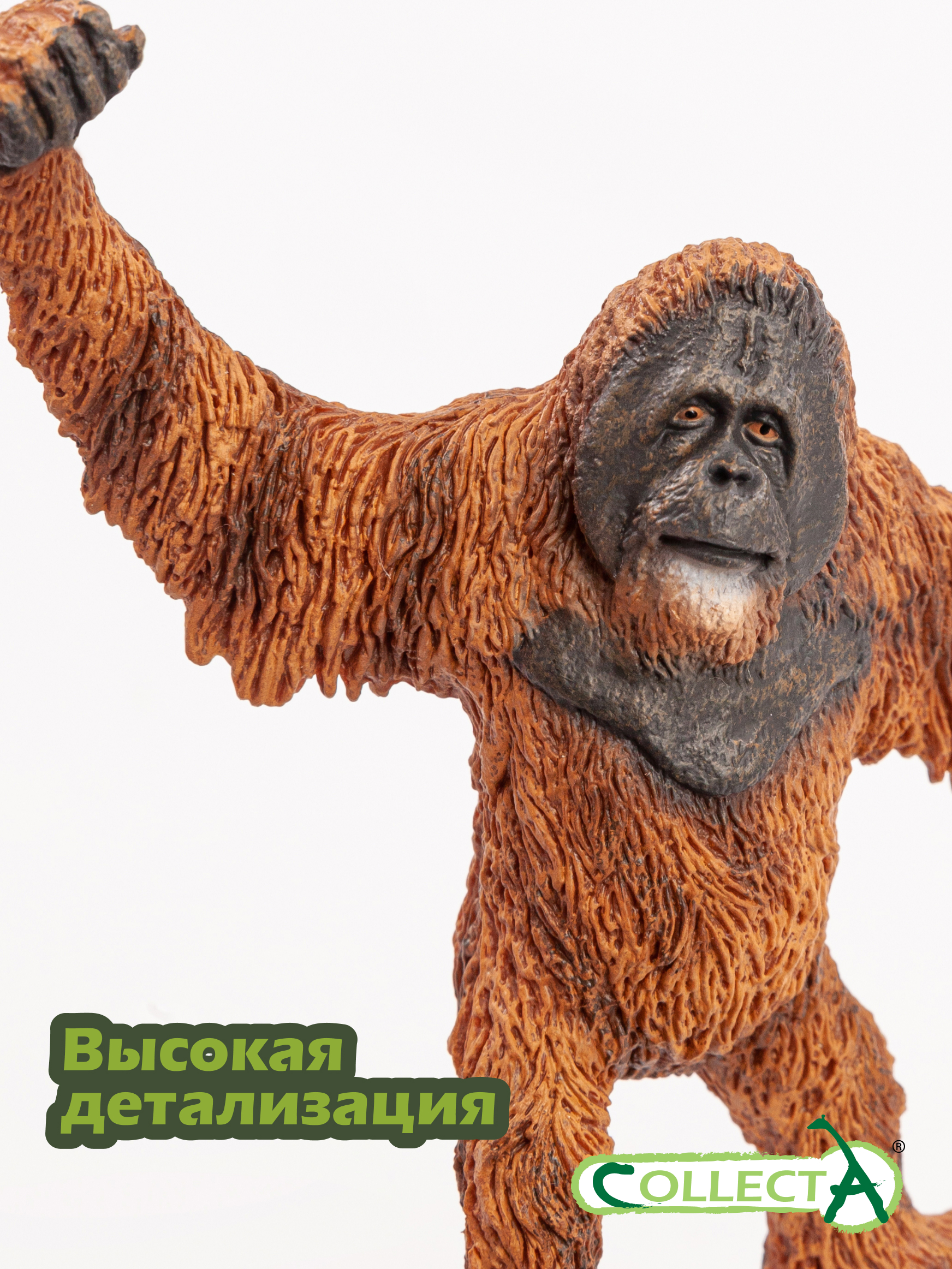 Фигурка Collecta Орангутан - фото 3