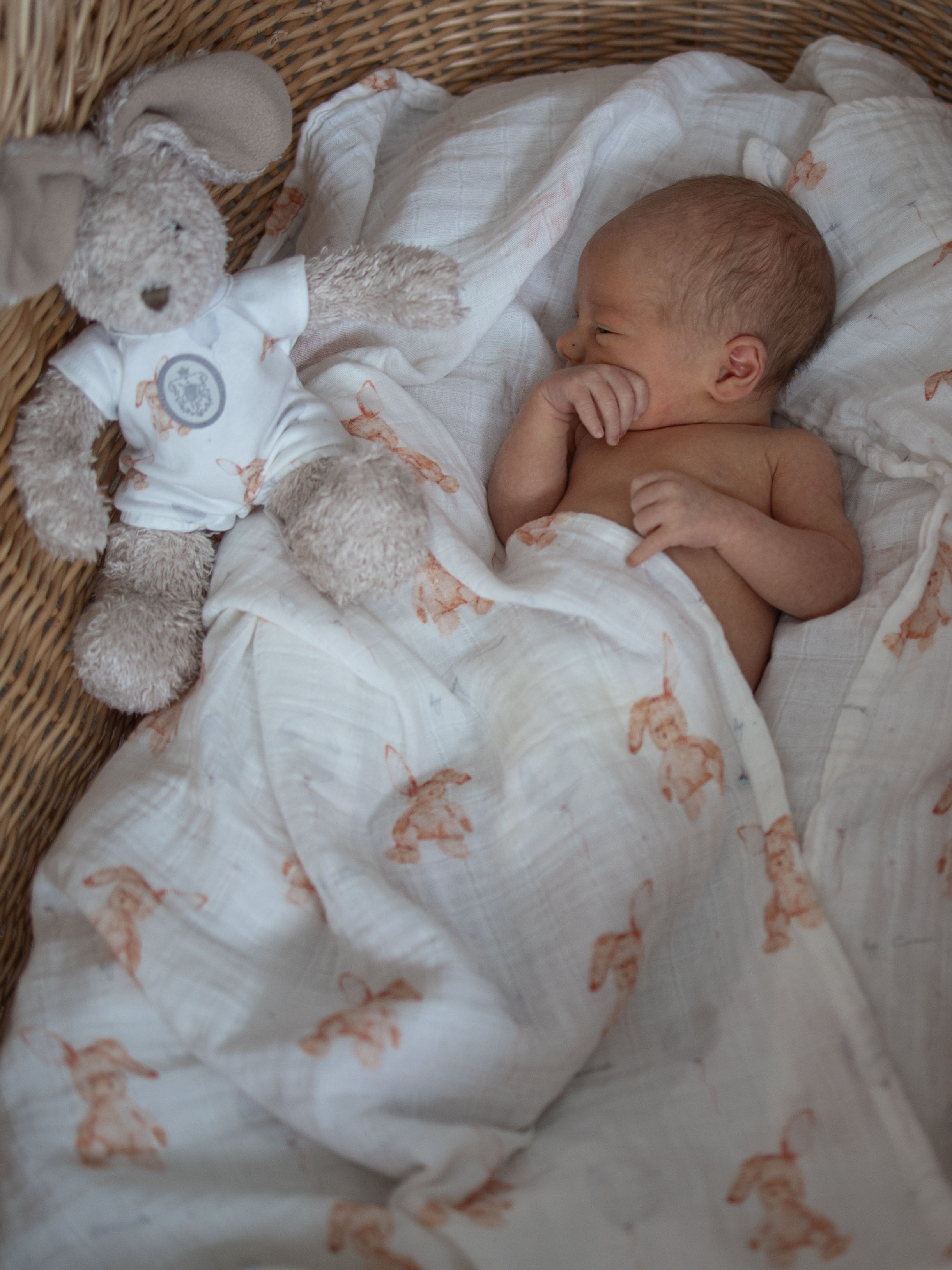 Пелёнка НаследникЪ Выжанова Набор муслиновых пеленок муслин 120х120 см 2 шт. - фото 4