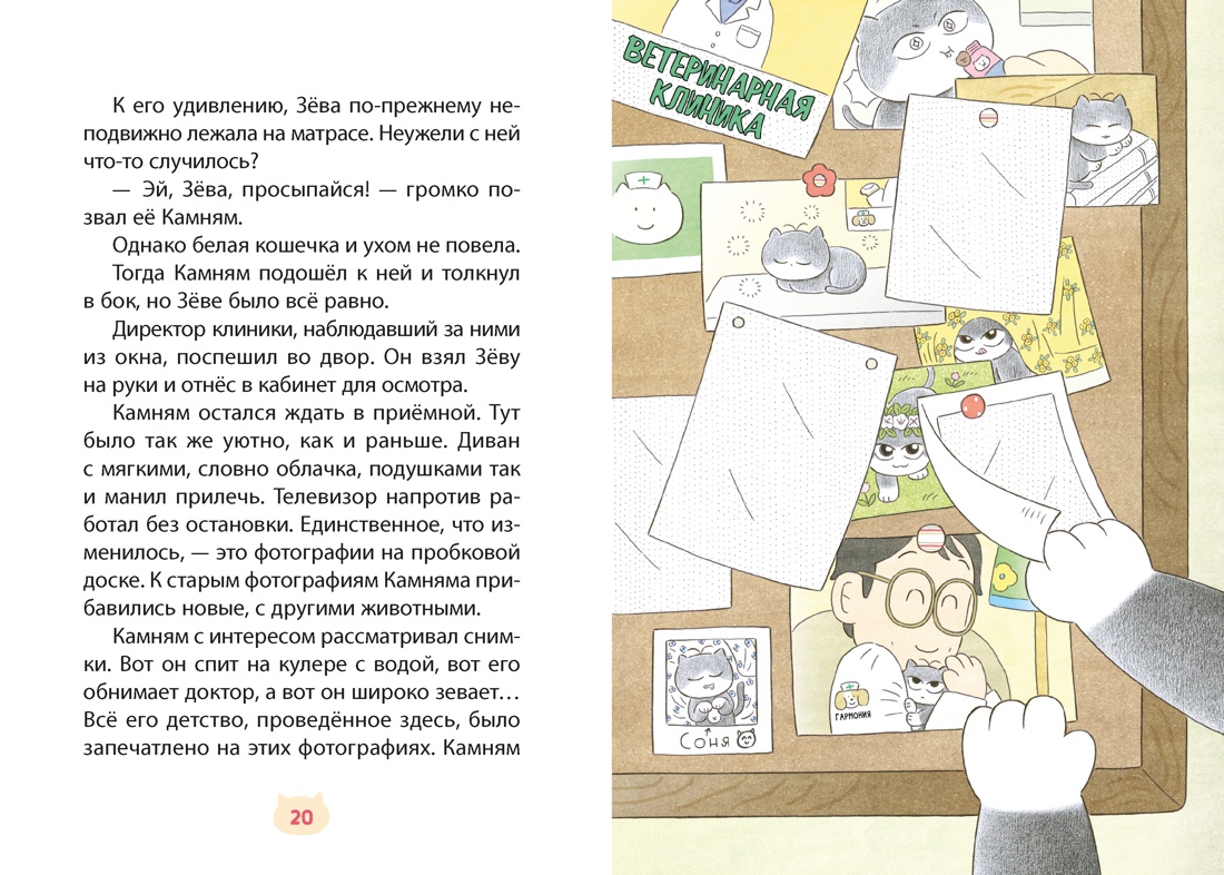 Книга Махаон Камням Помощник с лапками - фото 12