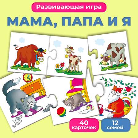 Настольная игра Дрофа-Медиа