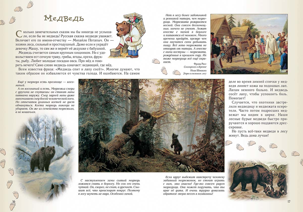 Книга Белый город Прогулки по лесу. - 2-е изд. - фото 3