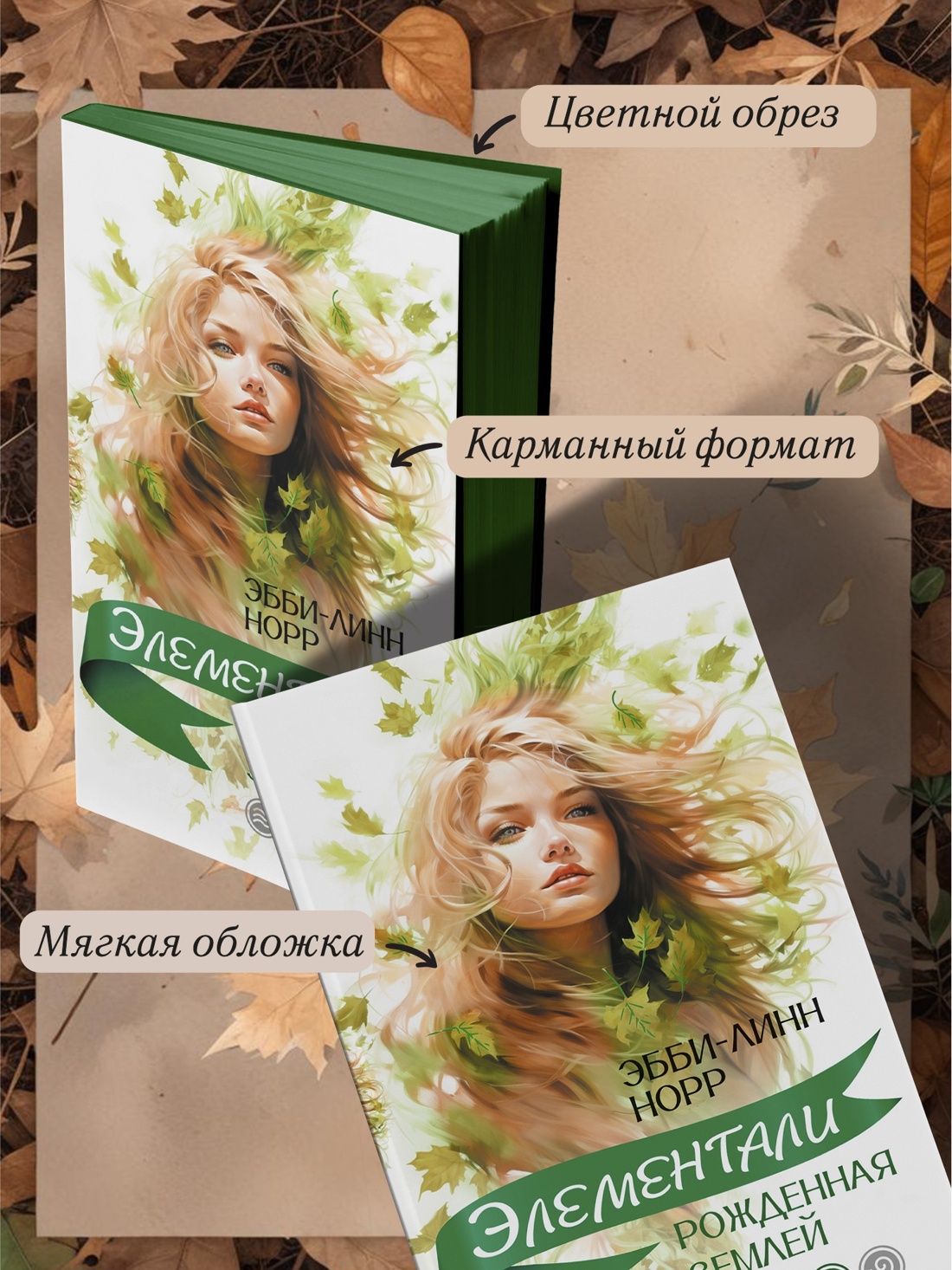 Книга Иностранка Элементали. Норр. Комплект из 4-х книг. - фото 9