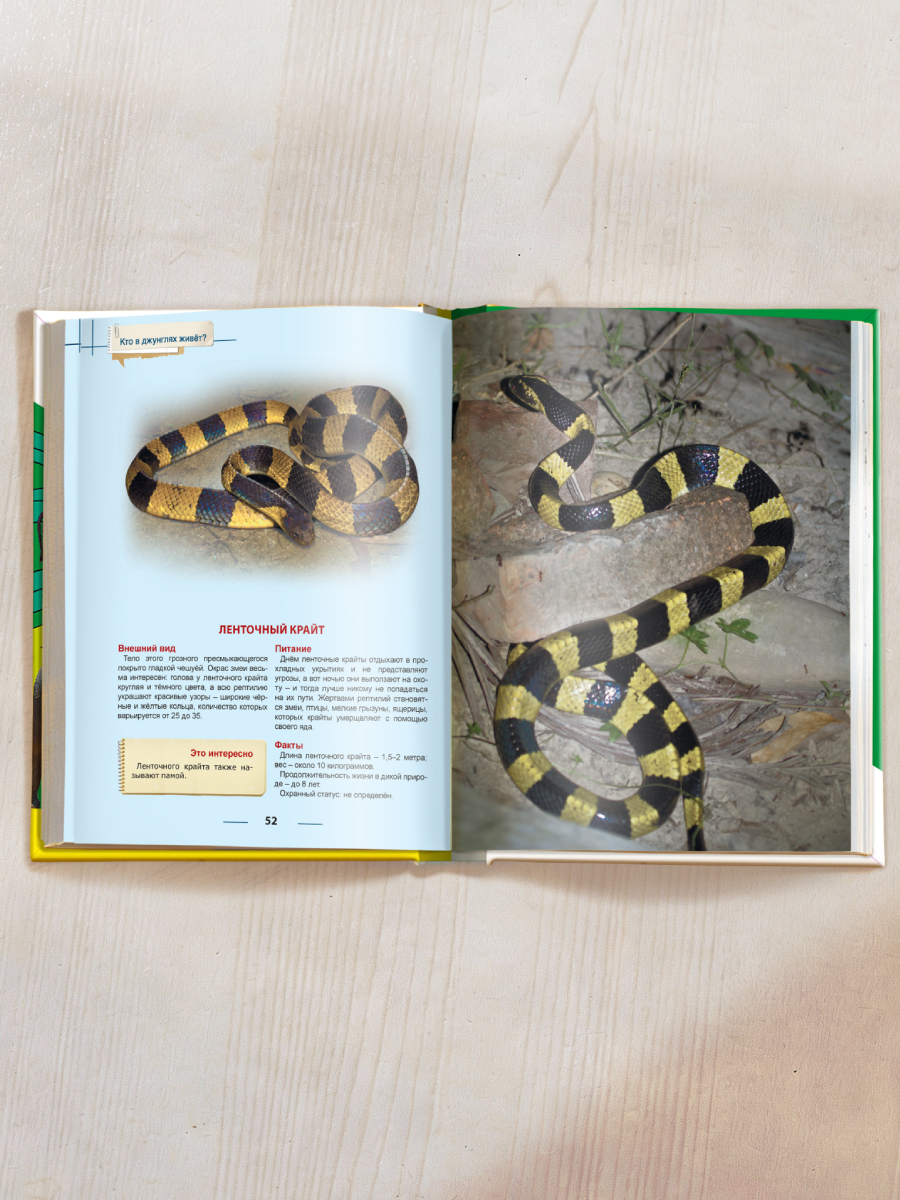 Книга Проф-Пресс Энциклопедия для детей. Кто в джунглях живёт? - фото 7