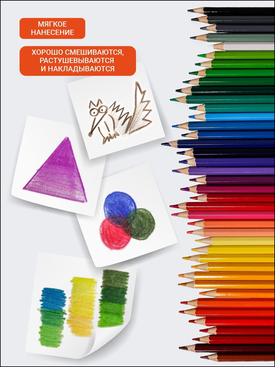 Карандаши цветные AXLER 72 шт. - фото 8