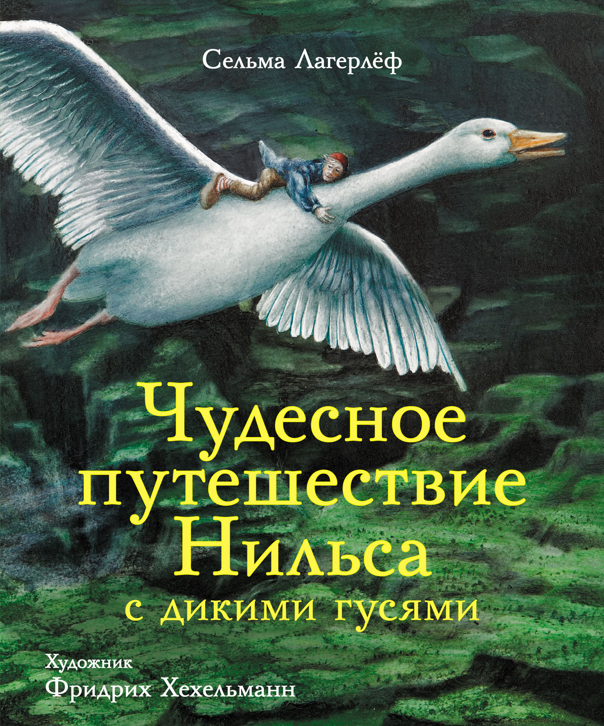 Книга СТРЕКОЗА Чудесное путешествие Нильса с дикими гусями - фото 1