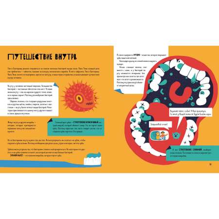 Книга Clever Приключения Тима в мире наук Приключения Тима в мире бактерий