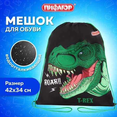 Мешок для обуви Пифагор
