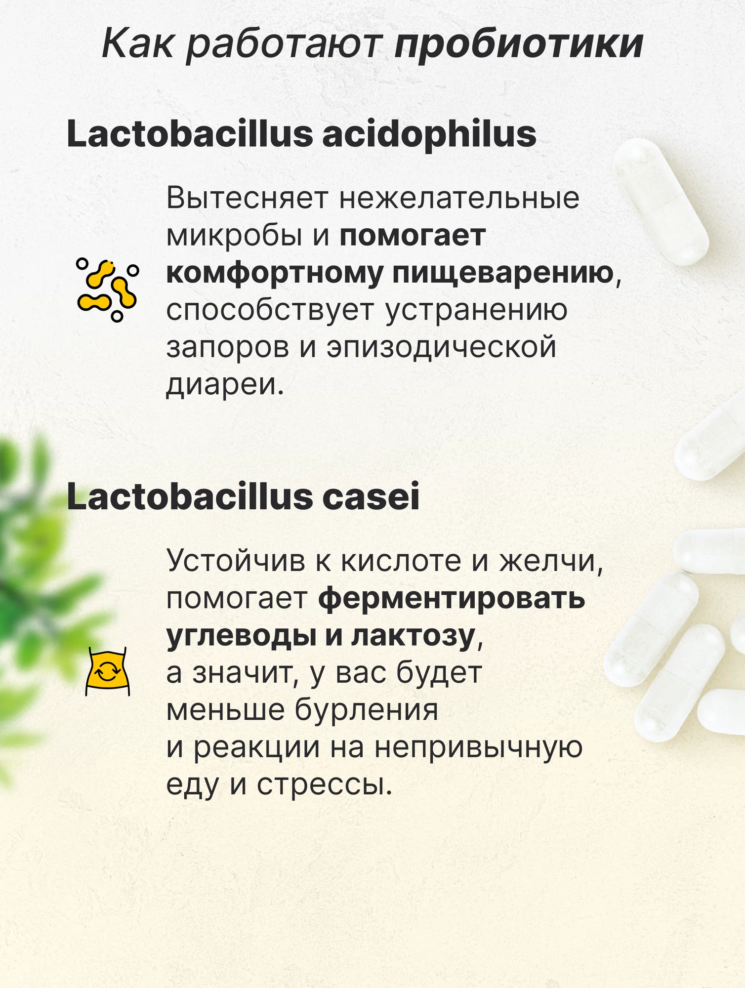 Биологически активная добавка VitaMeal Пробиотики и Пребиотики комплекс с Инулином для ЖКТ 60 капсул - фото 8