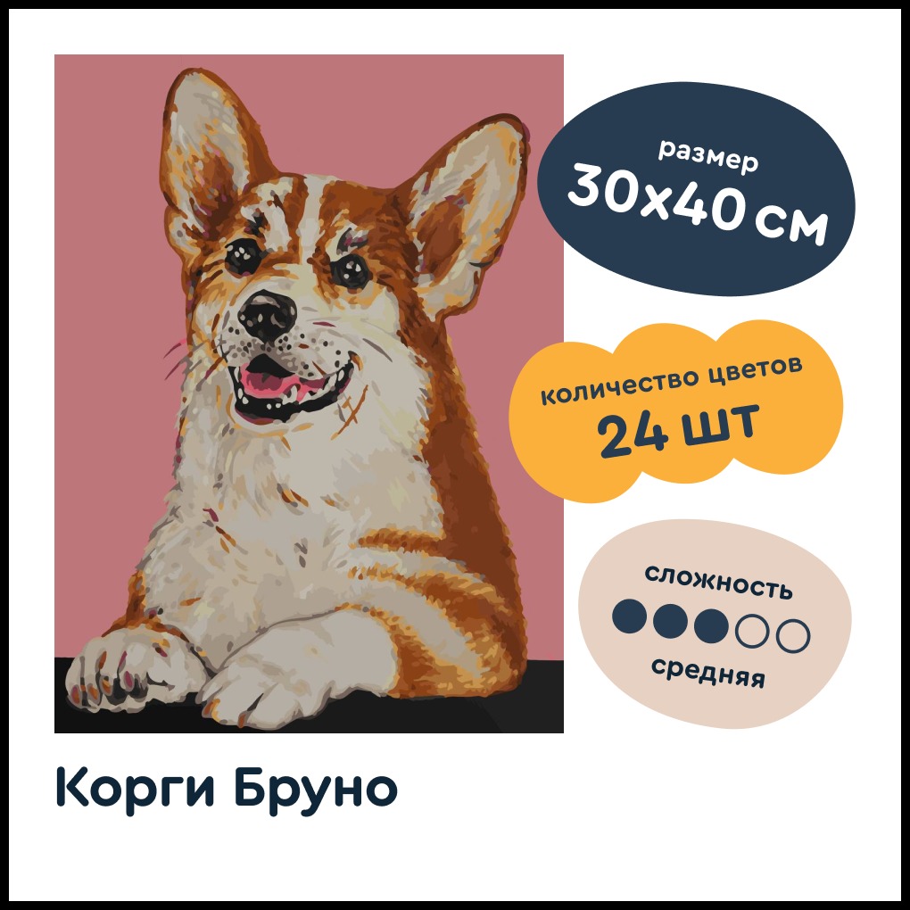 Картина по номерам Junion - фото 2