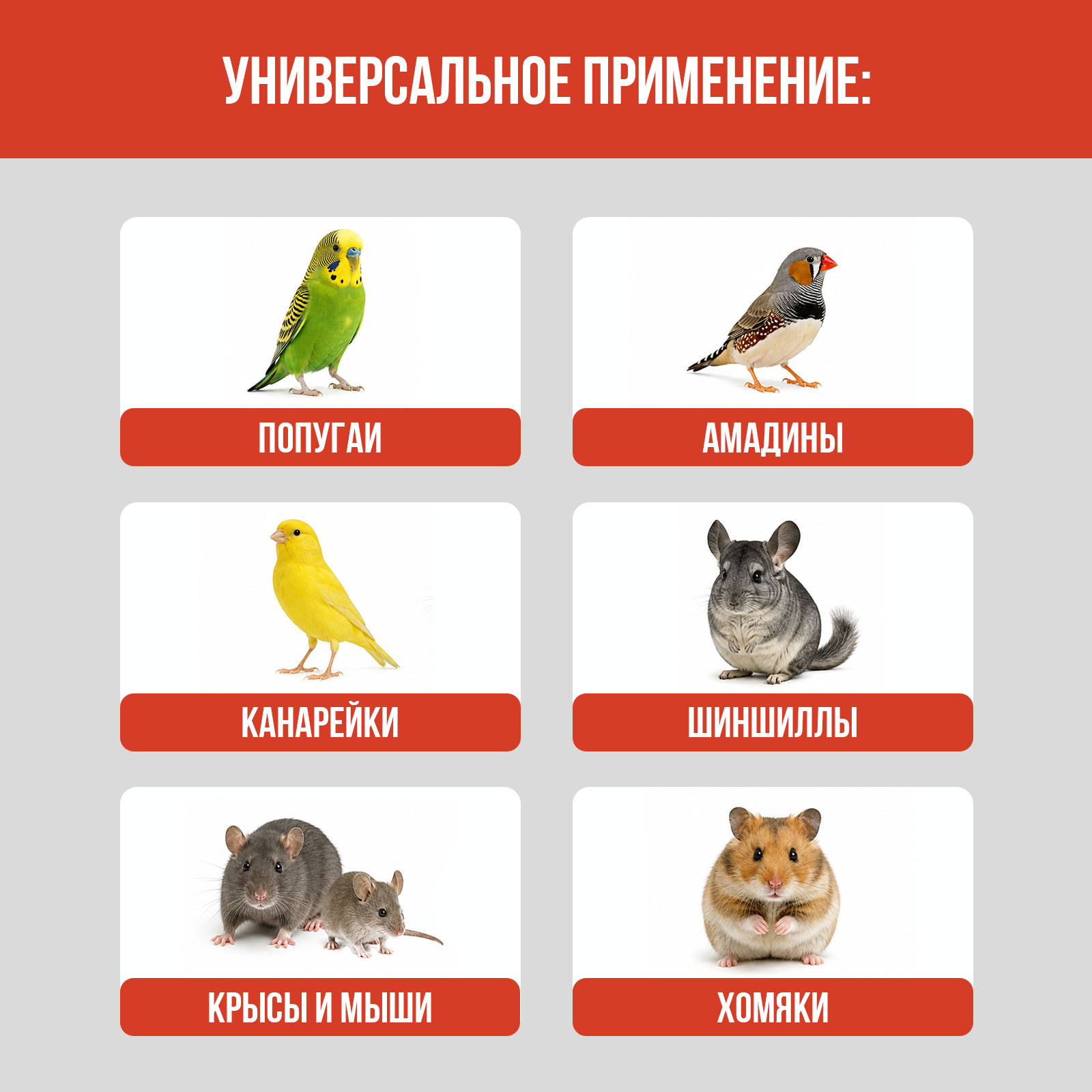 Дезинфектор КЛИМЫЧ 400 г для домов с животными - фото 4