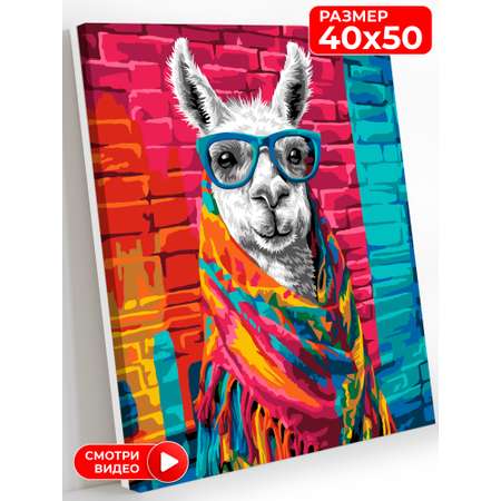 Картина по номерам Art on Canvas Стильная лама в ассортименте