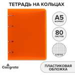 Общая тетрадь Calligrata клетка 80 лист. 1 шт.