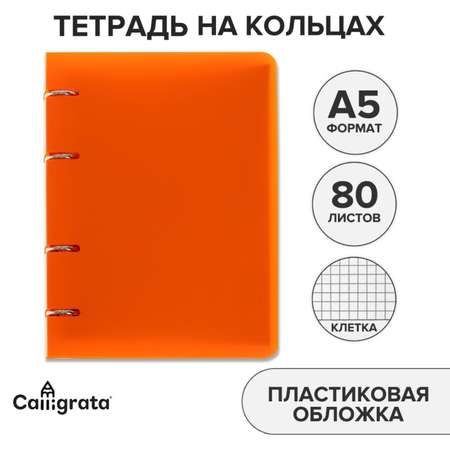 Общая тетрадь Calligrata клетка 80 лист. 1 шт.