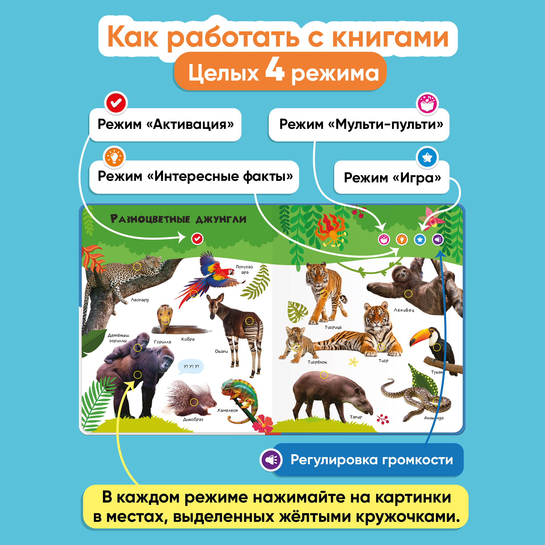 Комплект говорящих книжек BertToys Большие Нажималки: Я и мир вокруг + Животные - фото 9