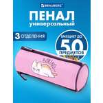 Пенал тубус Brauberg ленивый котик