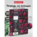 Тетрадь со сменным блоком Brauberg клетка 120 лист.