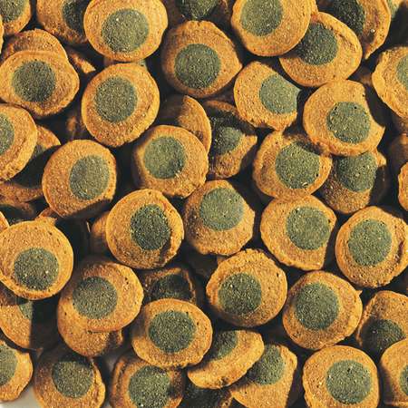 Корм для рыб Tetra Pleco Spirulina Wafers сомов чипсы 250мл