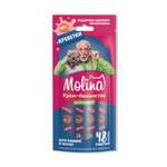 Крем-лакомство для кошек Molina 48г с креветкой поддержка здорового метаболизма