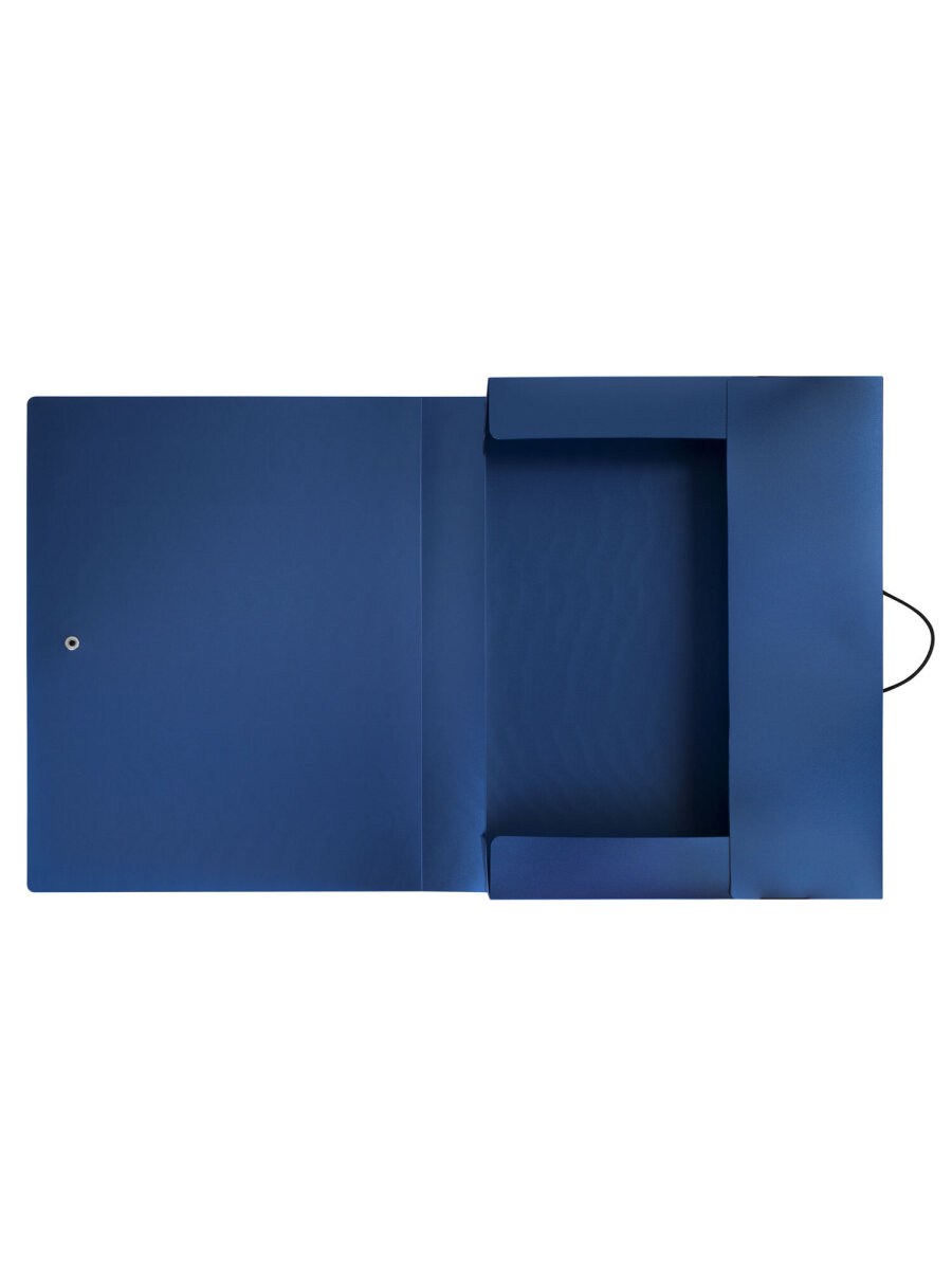 Папка для тетрадей Brauberg короб канцелярская офисная А4 - фото 5