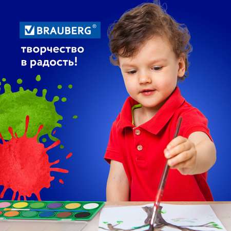 Краски акварель Brauberg 12 цв.