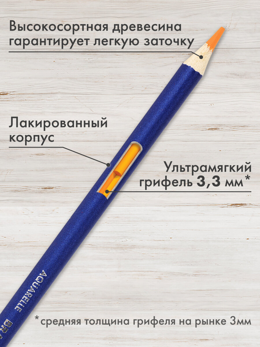 Карандаши акварельные Brauberg 48 шт. - фото 3