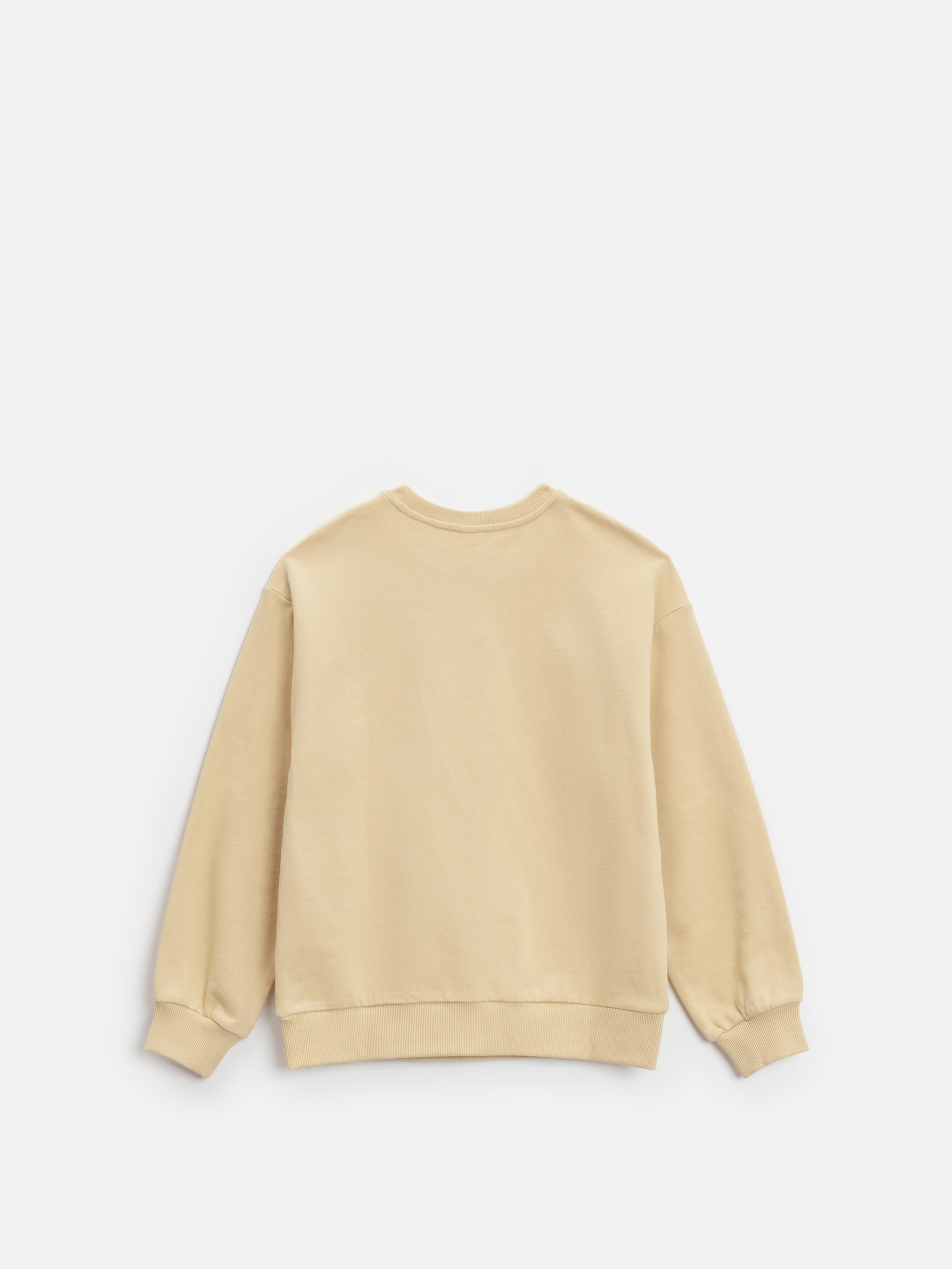 Свитшот Acoola 20310170013_0096023 - фото 6