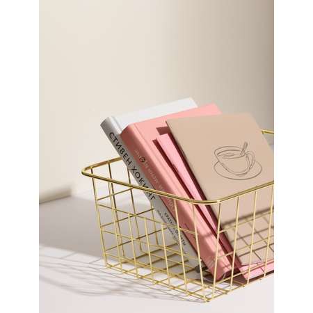 Металлическая корзина Bird house для хранения вещей 28х22х11 золотистый