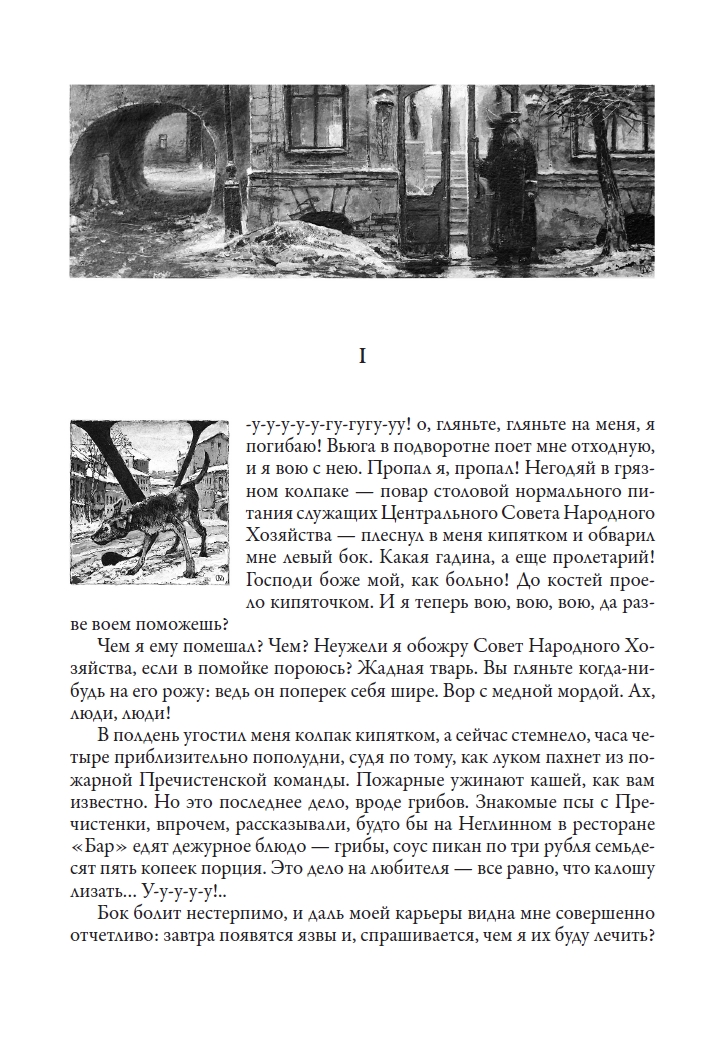 Книга СЗКЭО БМЛ Булгаков Собачье сердце илл Максим Поповский - фото 5