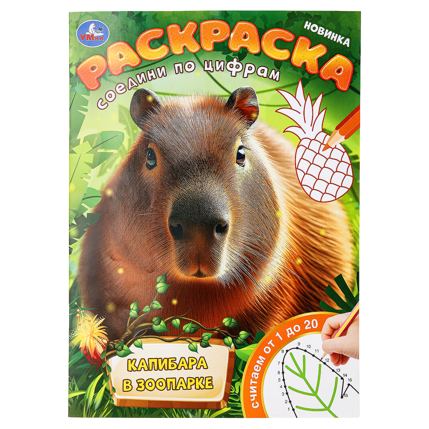 Раскраска УМка Капибара в зоопарке - фото 2