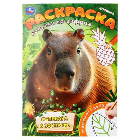 Раскраска УМка Капибара в зоопарке