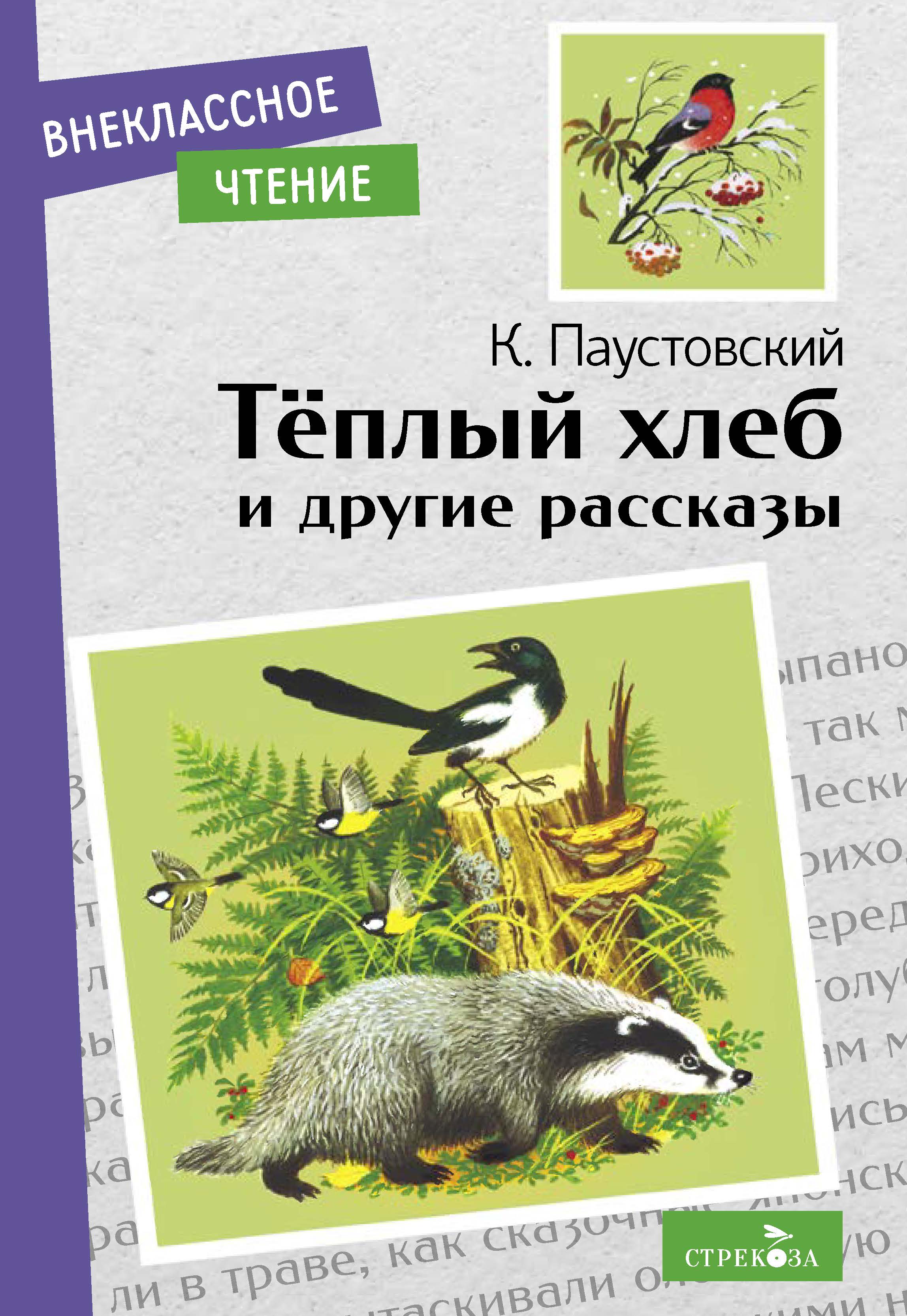 Книга СТРЕКОЗА Внеклассное чтение - фото 1