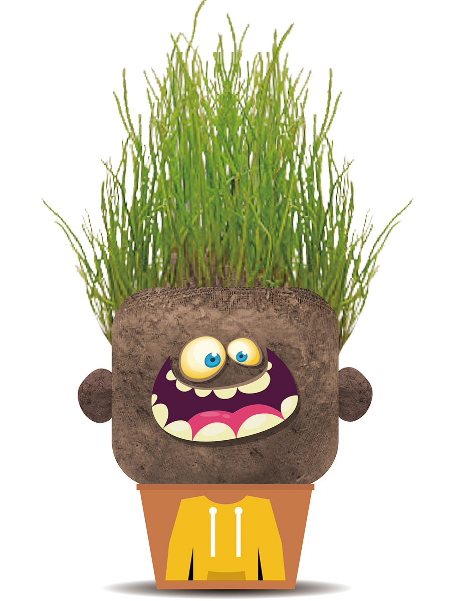 Набор для выращивания Hape - фото 3