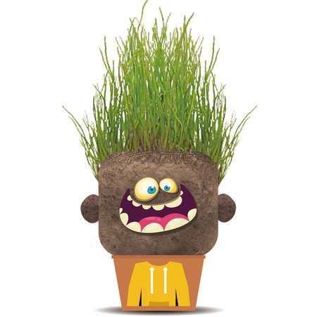 Набор для выращивания Hape растущая травка