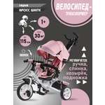 Трехколесный велосипед Velobibi 10 дюймов