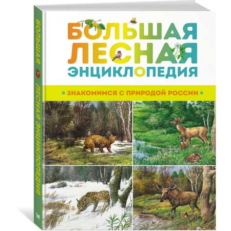 Книга Махаон Большая лесная энциклопедия. Знакомимся с природой России
