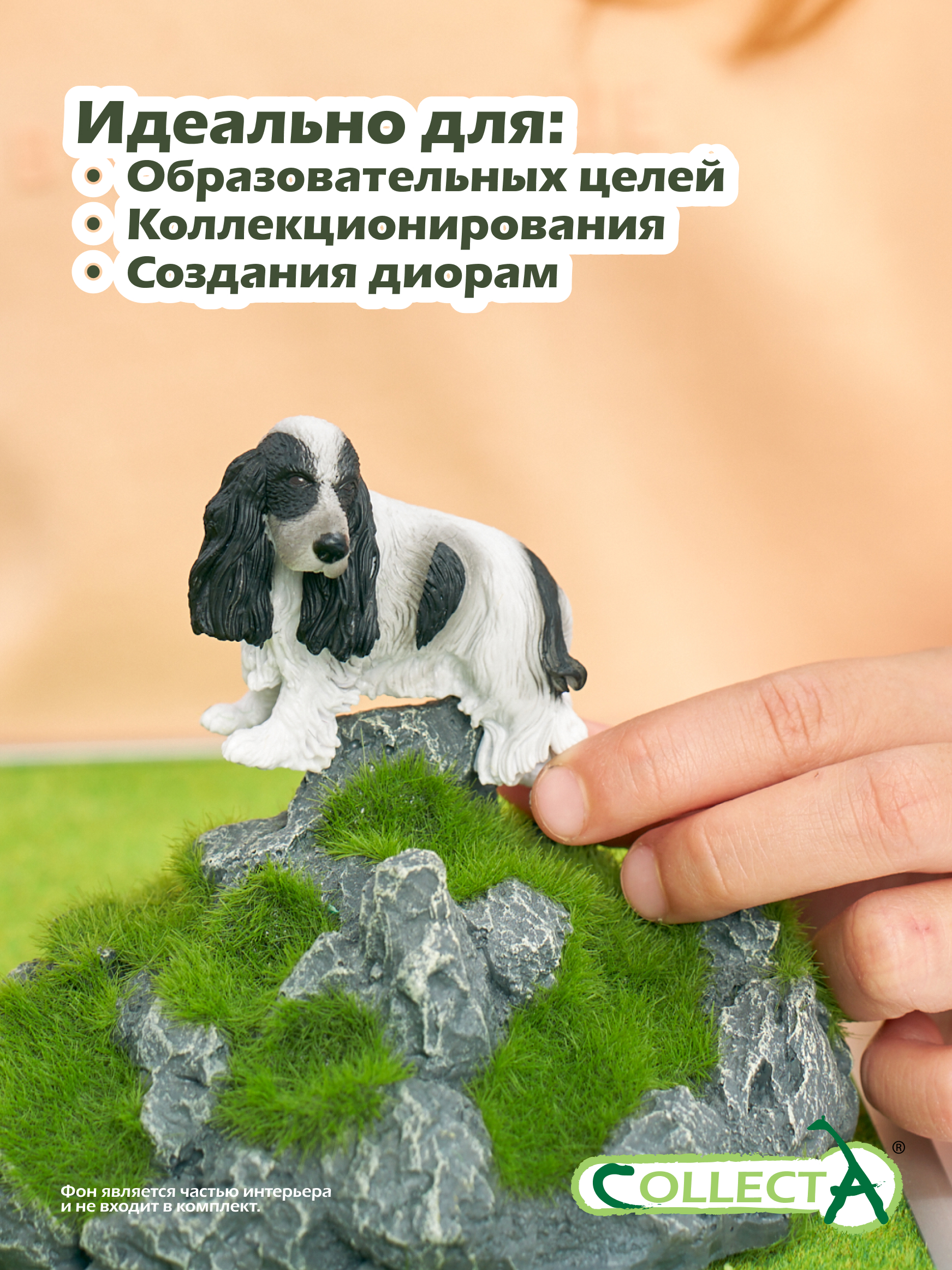 Фигурка Collecta Кокер-спаниель - фото 6