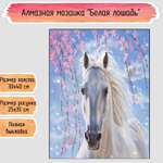 Алмазная мозаика Seichi